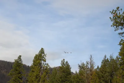 DSC_0284 (Large).JPG